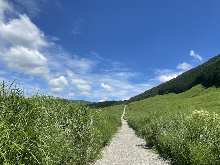 A serene gravel path through lush green hills in Hakone, Japan under a bright summer sky.