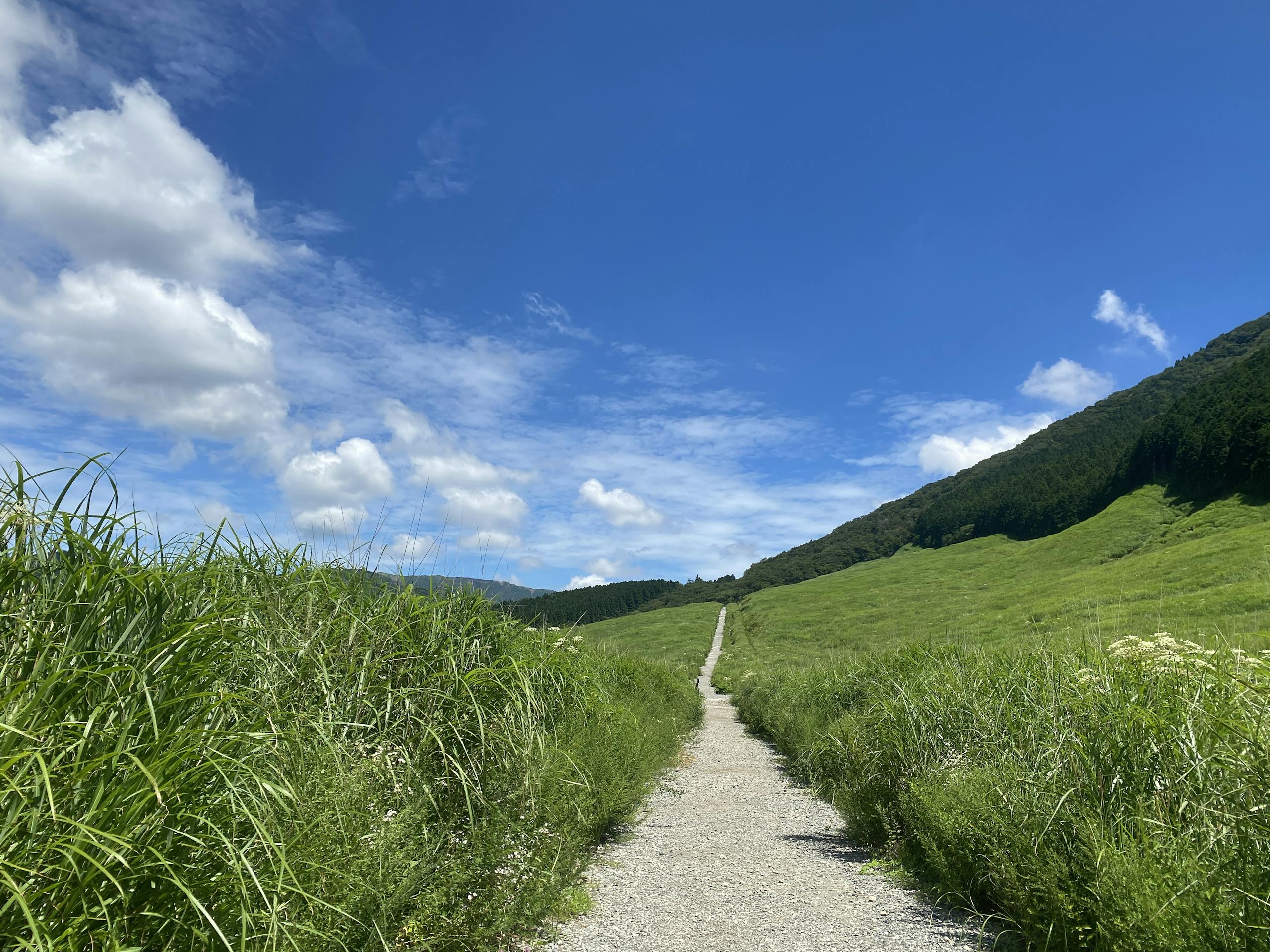 A serene gravel path through lush green hills in Hakone, Japan under a bright summer sky.